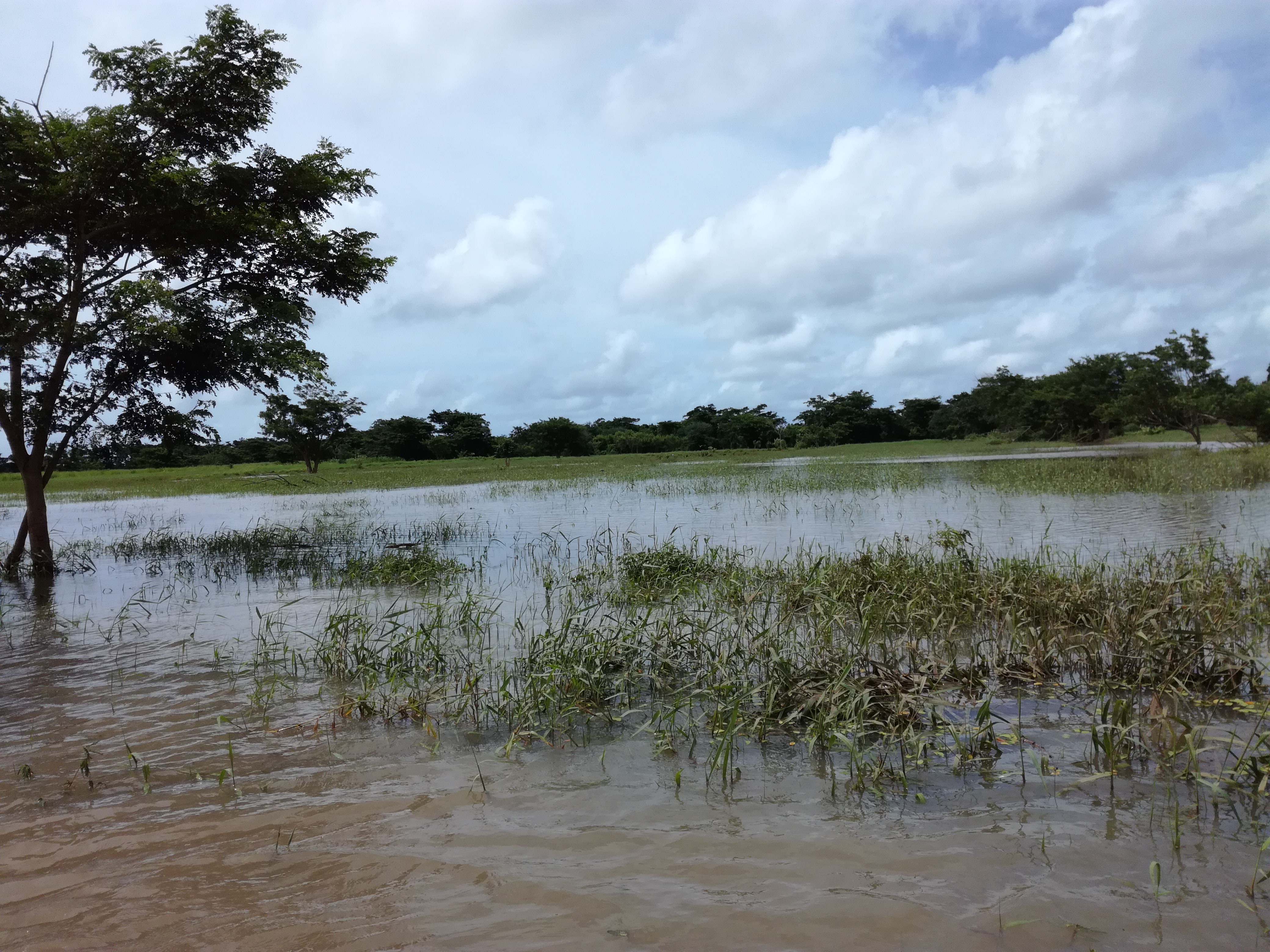 Detecting Flooding in Fiji’s Croplands