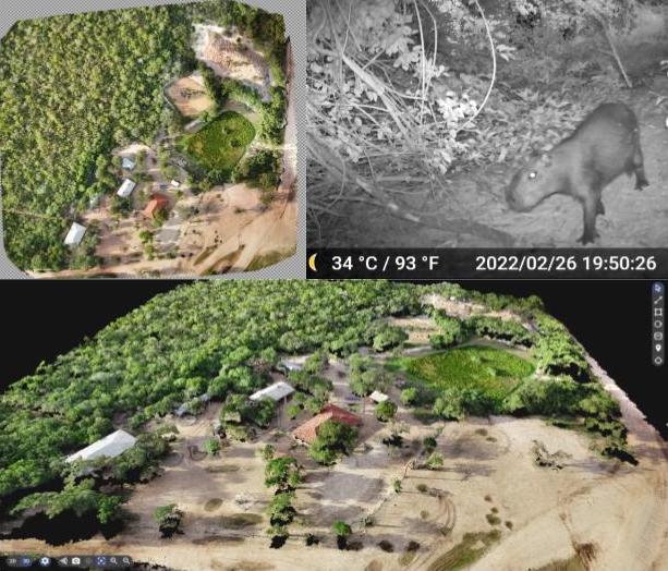 Three panel figure. Top left and bottom: a model of landscape with buildings. Top right: a Capybara at night.