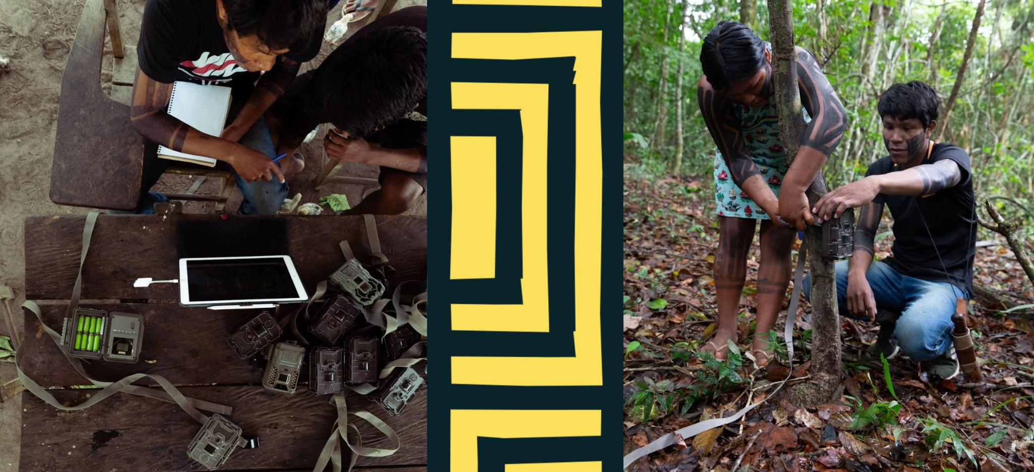 Left panel: A view from above of people working at a computer. Right panel: An image of two tattooed people measuring a tree.