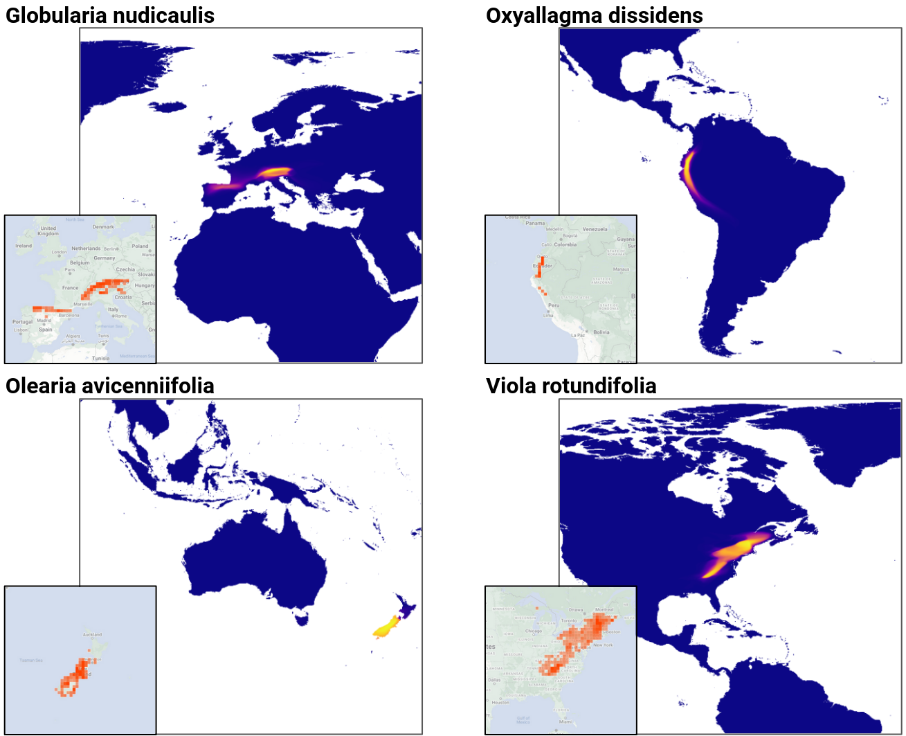 Image of four prediction maps Image of four prediction maps