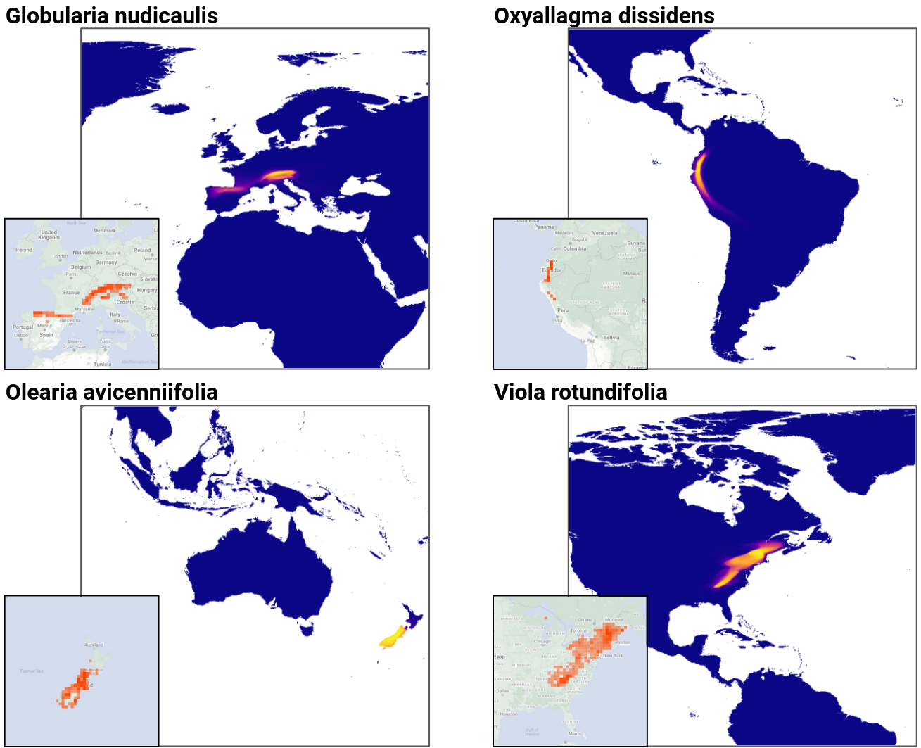 Image of four prediction maps