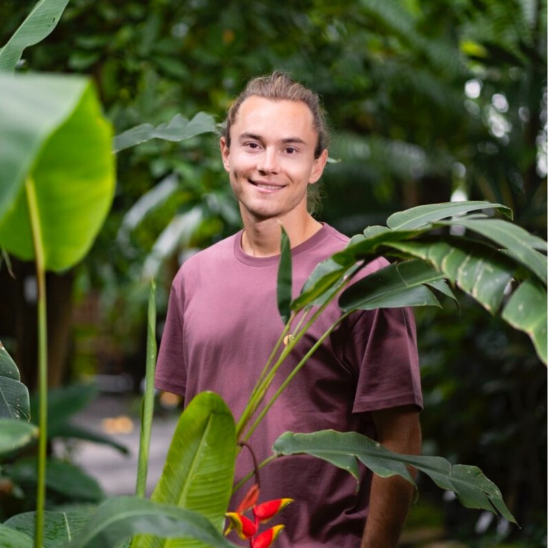 Steffen Knoblauch